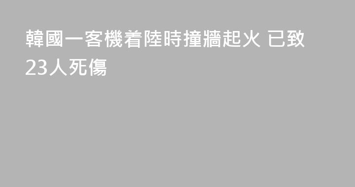 韓國一客機着陸時撞牆起火 已致23人死傷