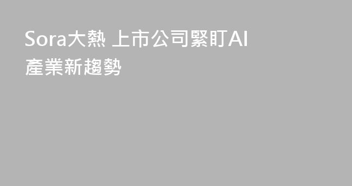 Sora大熱 上市公司緊盯AI產業新趨勢