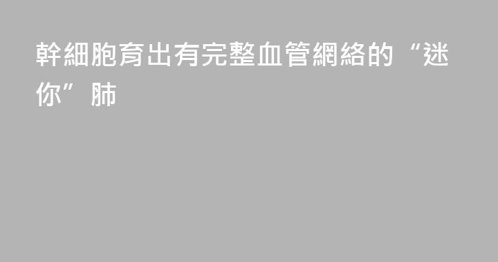 幹細胞育出有完整血管網絡的“迷你”肺