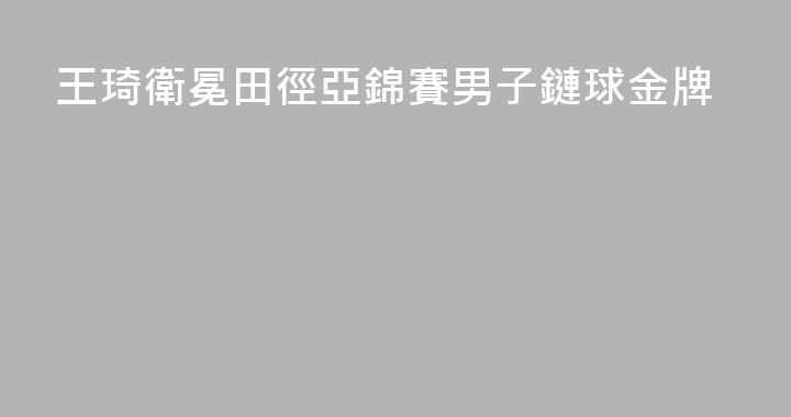 王琦衛冕田徑亞錦賽男子鏈球金牌