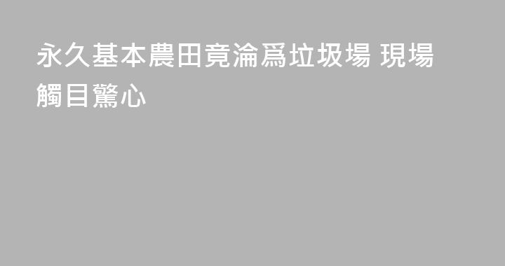 永久基本農田竟淪爲垃圾場 現場觸目驚心