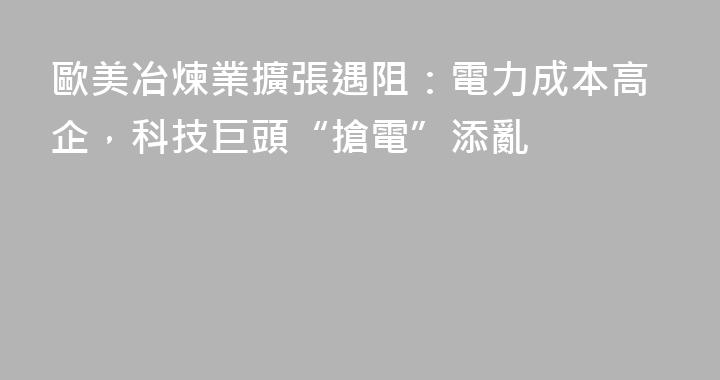 歐美冶煉業擴張遇阻：電力成本高企，科技巨頭“搶電”添亂