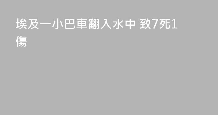 埃及一小巴車翻入水中 致7死1傷