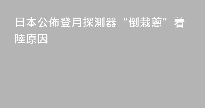 日本公佈登月探測器“倒栽蔥”着陸原因