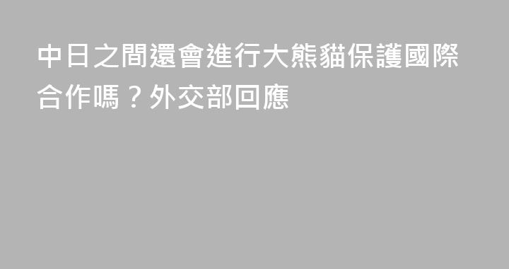 中日之間還會進行大熊貓保護國際合作嗎？外交部回應