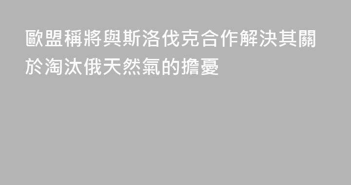 歐盟稱將與斯洛伐克合作解決其關於淘汰俄天然氣的擔憂