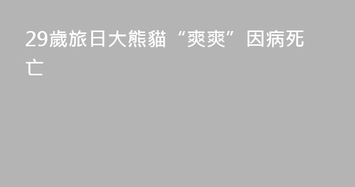 29歲旅日大熊貓“爽爽”因病死亡