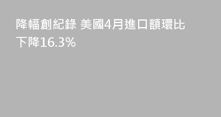 降幅創紀錄 美國4月進口額環比下降16.3%