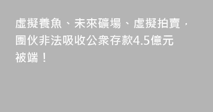 虛擬養魚、未來礦場、虛擬拍賣，團伙非法吸收公衆存款4.5億元被端！