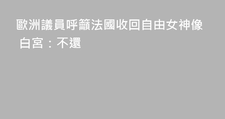 歐洲議員呼籲法國收回自由女神像 白宮：不還