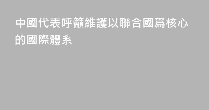 中國代表呼籲維護以聯合國爲核心的國際體系
