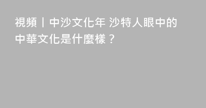 視頻丨中沙文化年 沙特人眼中的中華文化是什麼樣？