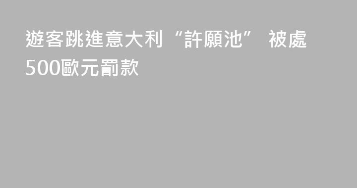 遊客跳進意大利“許願池” 被處500歐元罰款