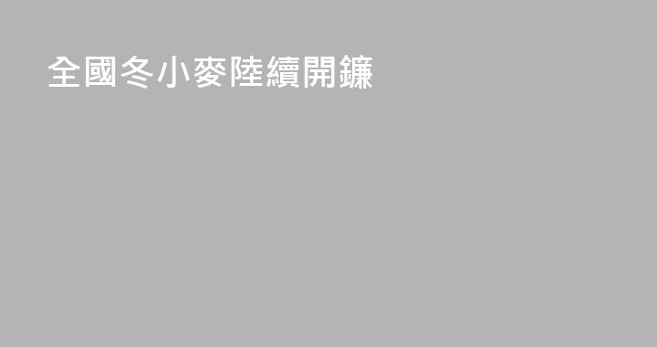 全國冬小麥陸續開鐮