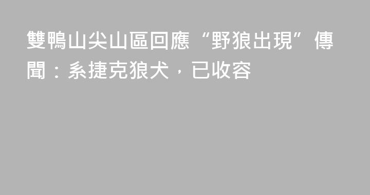 雙鴨山尖山區回應“野狼出現”傳聞：系捷克狼犬，已收容