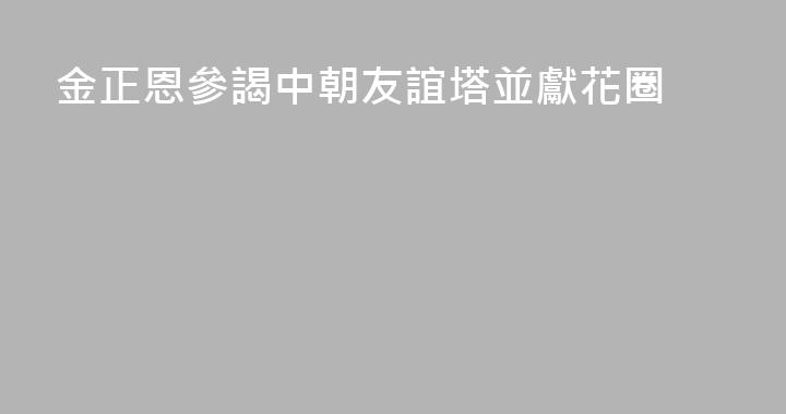 金正恩參謁中朝友誼塔並獻花圈