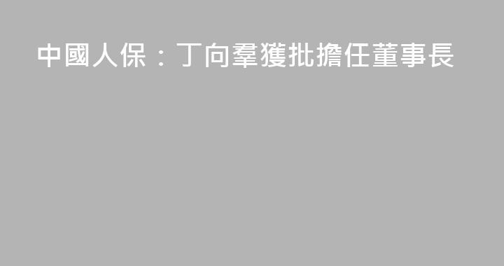 中國人保：丁向羣獲批擔任董事長