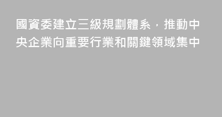 國資委建立三級規劃體系，推動中央企業向重要行業和關鍵領域集中