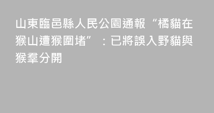 山東臨邑縣人民公園通報“橘貓在猴山遭猴圍堵”：已將誤入野貓與猴羣分開