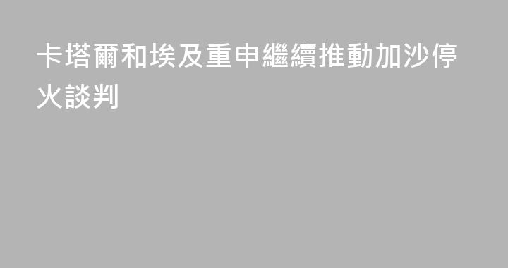 卡塔爾和埃及重申繼續推動加沙停火談判