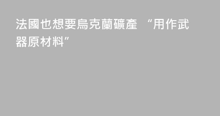 法國也想要烏克蘭礦產 “用作武器原材料”