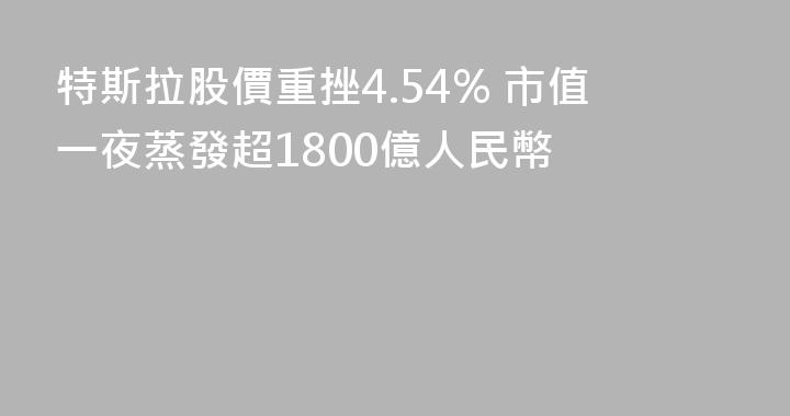 特斯拉股價重挫4.54% 市值一夜蒸發超1800億人民幣
