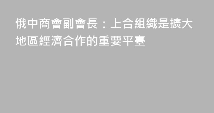 俄中商會副會長：上合組織是擴大地區經濟合作的重要平臺