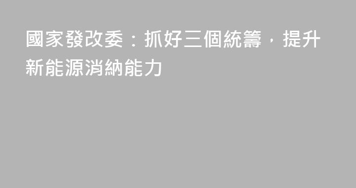 國家發改委：抓好三個統籌，提升新能源消納能力