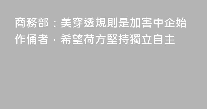 商務部：美穿透規則是加害中企始作俑者，希望荷方堅持獨立自主
