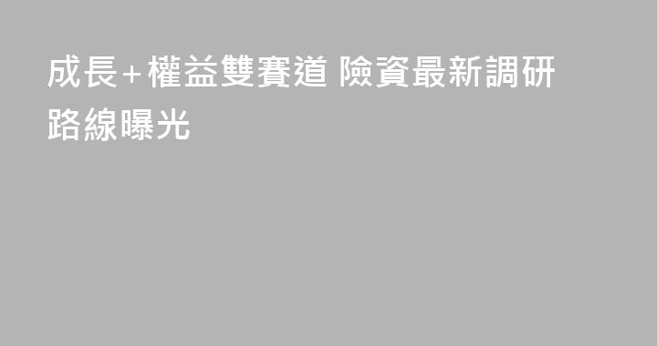 成長+權益雙賽道 險資最新調研路線曝光