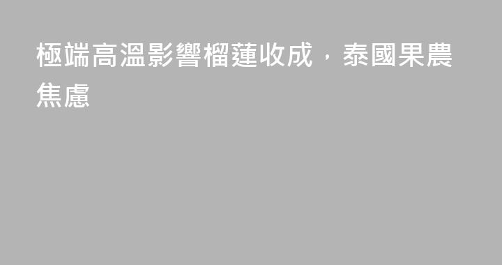 極端高溫影響榴蓮收成，泰國果農焦慮