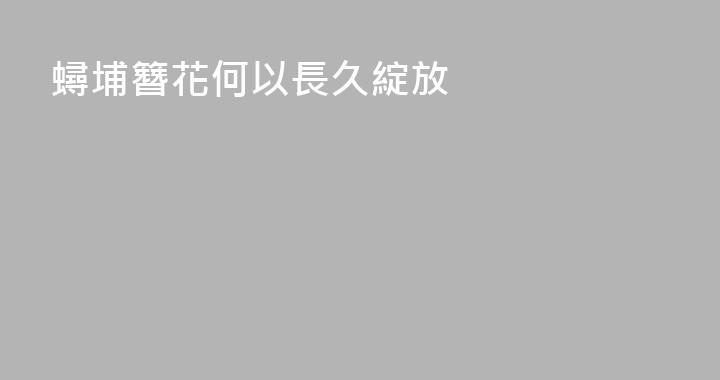 蟳埔簪花何以長久綻放