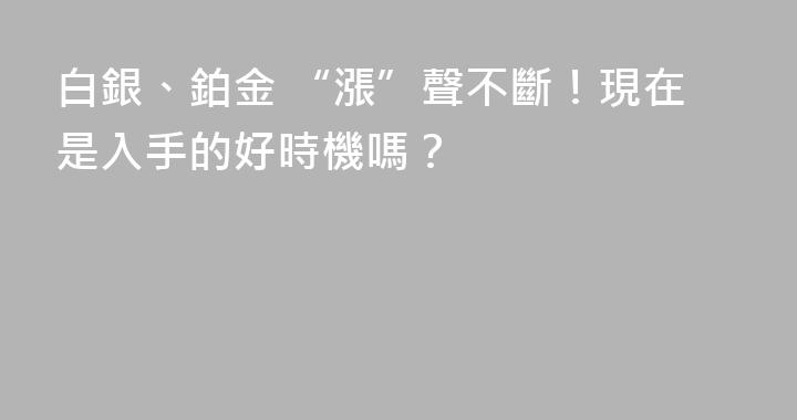 白銀、鉑金 “漲”聲不斷！現在是入手的好時機嗎？