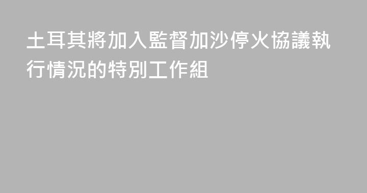 土耳其將加入監督加沙停火協議執行情況的特別工作組