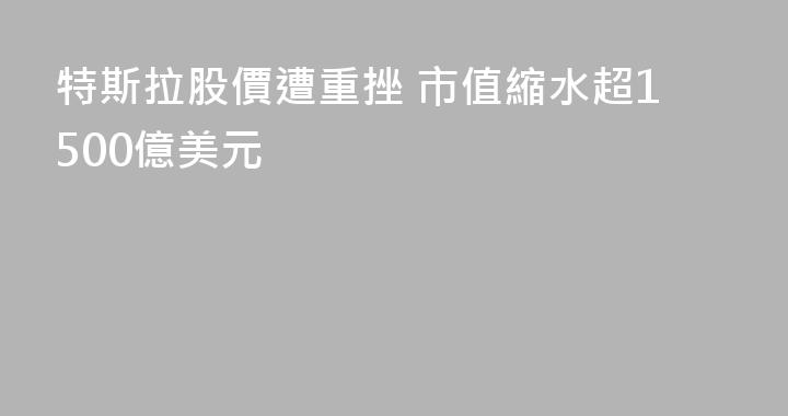 特斯拉股價遭重挫 市值縮水超1500億美元