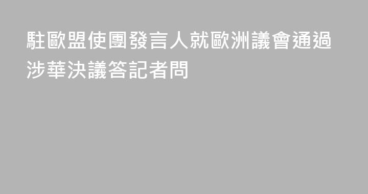駐歐盟使團發言人就歐洲議會通過涉華決議答記者問
