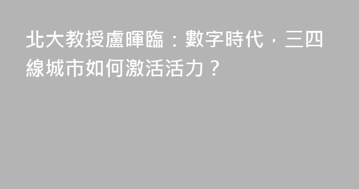 北大教授盧暉臨：數字時代，三四線城市如何激活活力？