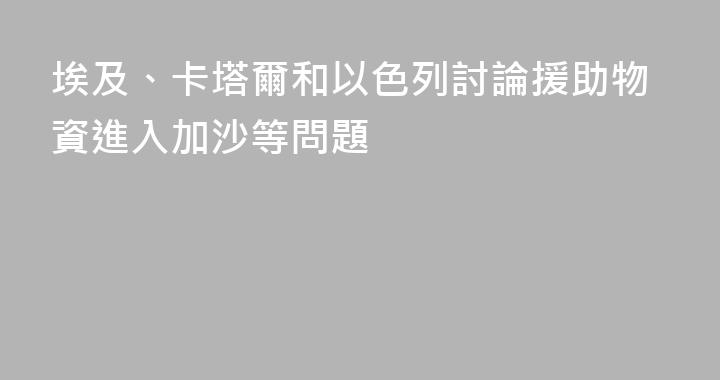 埃及、卡塔爾和以色列討論援助物資進入加沙等問題