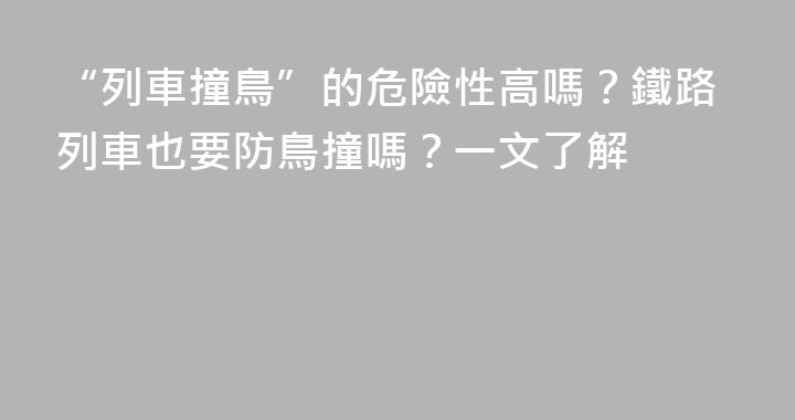 “列車撞鳥”的危險性高嗎？鐵路列車也要防鳥撞嗎？一文了解