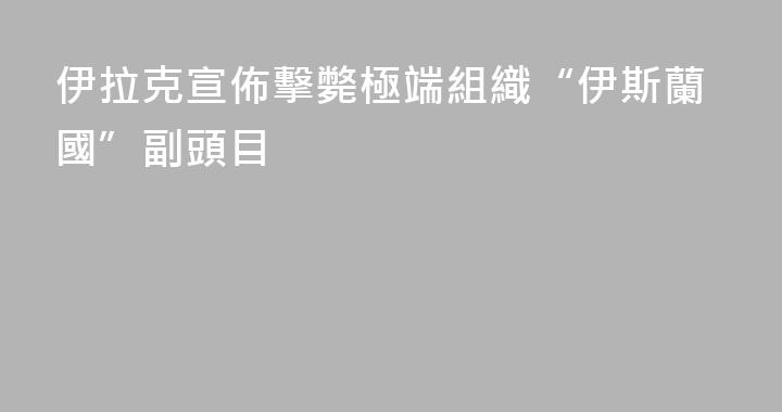 伊拉克宣佈擊斃極端組織“伊斯蘭國”副頭目