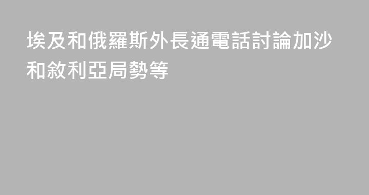 埃及和俄羅斯外長通電話討論加沙和敘利亞局勢等