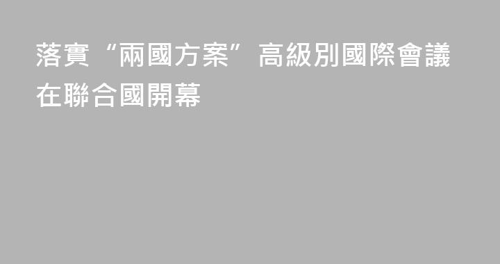 落實“兩國方案”高級別國際會議在聯合國開幕
