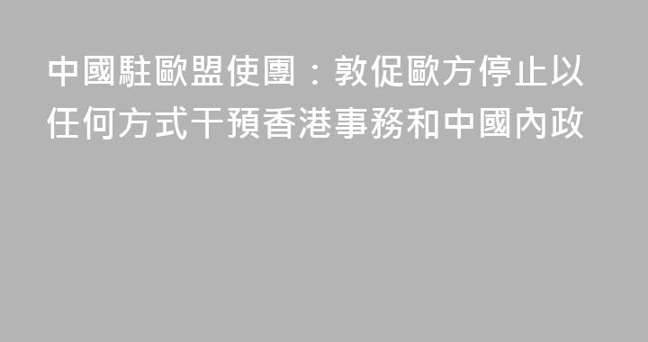 中國駐歐盟使團：敦促歐方停止以任何方式干預香港事務和中國內政