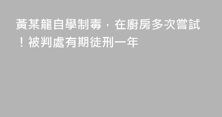 黃某龍自學制毒，在廚房多次嘗試！被判處有期徒刑一年