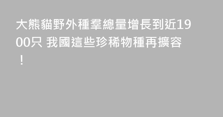 大熊貓野外種羣總量增長到近1900只 我國這些珍稀物種再擴容！