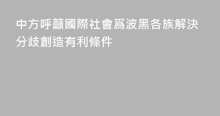中方呼籲國際社會爲波黑各族解決分歧創造有利條件
