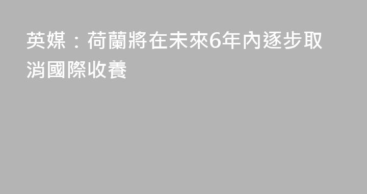 英媒：荷蘭將在未來6年內逐步取消國際收養