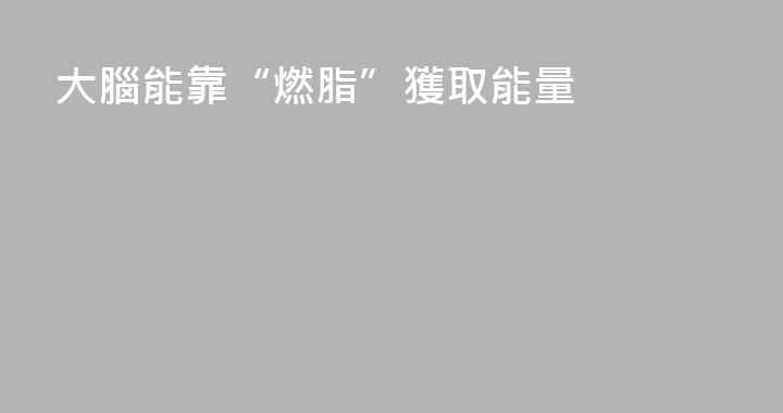 大腦能靠“燃脂”獲取能量