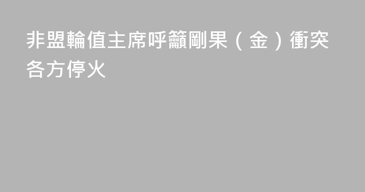 非盟輪值主席呼籲剛果（金）衝突各方停火