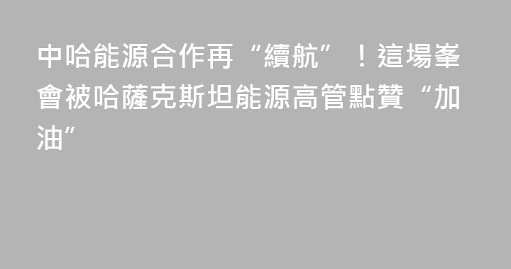 中哈能源合作再“續航”！這場峯會被哈薩克斯坦能源高管點贊“加油”
